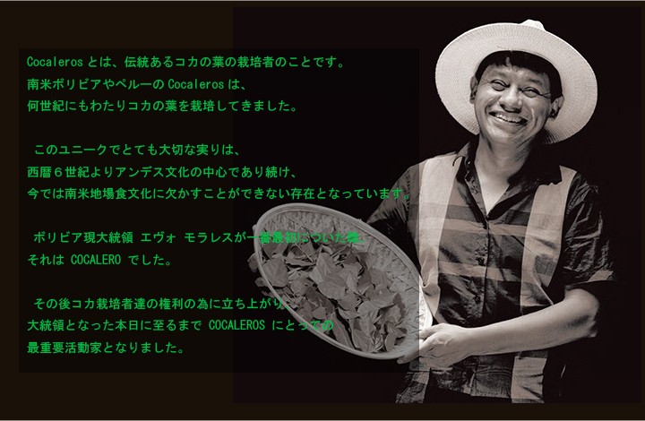 コカレロ COCALERO 29° ガラス製ボムグラス2個付き 700ml瓶 1本