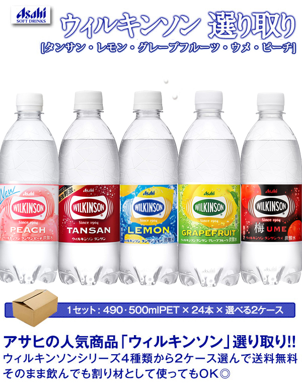 最適な価格 48本 送料無料 24本×2ケース 500mlペットボトル アサヒ