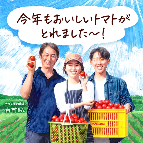 カゴメ トマトジュース 2026 トマトジュースプレミアム 食塩無添加
