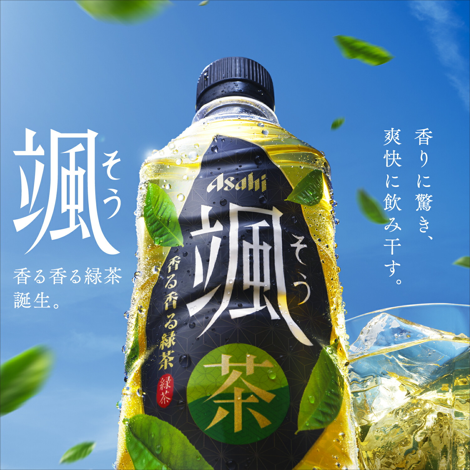 アサヒ 颯 香る香る緑茶 620mlPET×48本 [24本×2箱] 【3〜4営業日以内に