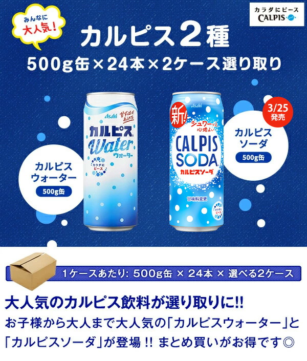 アサヒ カルピス カルピスウォーター カルピスソーダ 500g缶 ×48