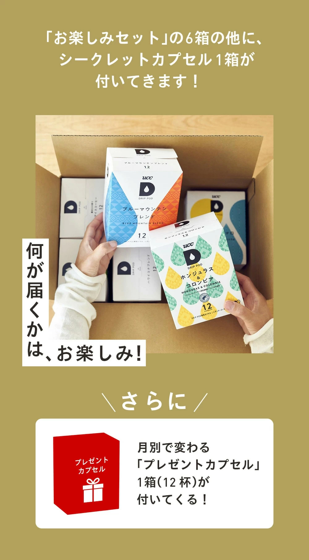 UCC 【6600円以上購入カプセル1箱プレゼント対象】【公式】真夏のお