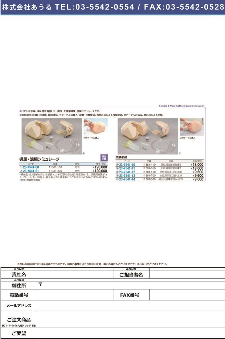 導尿浣腸シミュレータ（男性） 11381-100 ドウニョウカンチョウ