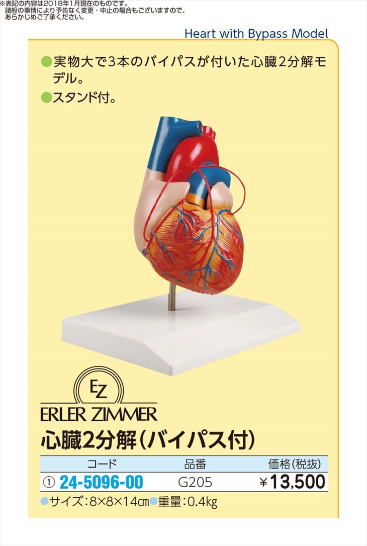 心臓２分解モデル バイパス付 G5 新作 1個単位 24 5096 00 シンゾウ2ブンカイモデル