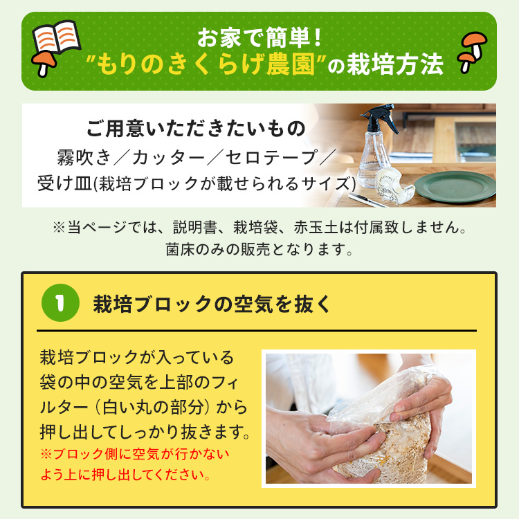 白きくらげ 栽培キット おかわり君（ブロックのみ）< 説明書など一切付属致しませんキクラゲ > 栽培キット 菌床 キクラゲ きのこ栽培 | 森のきのこ倶楽部 | 09