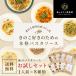 パスタ パスタソース きのこ スパゲティ 森のパスタソースお試しセット 1人前 8種類 きのこ屋特製 レトルト 国産きのこ 関連画像1