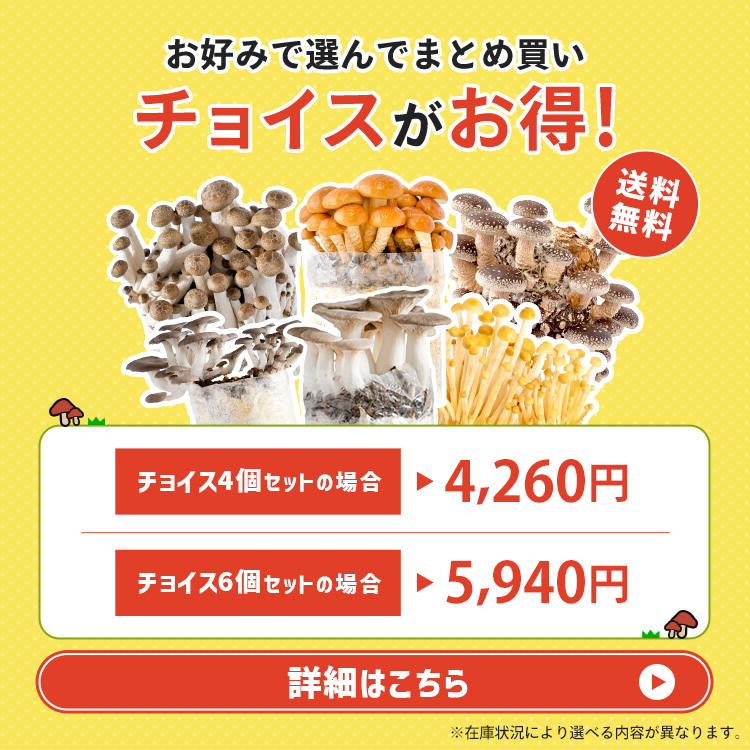 森のきのこ倶楽部 正規販売店 もりのしいたけ農園 おかわり君