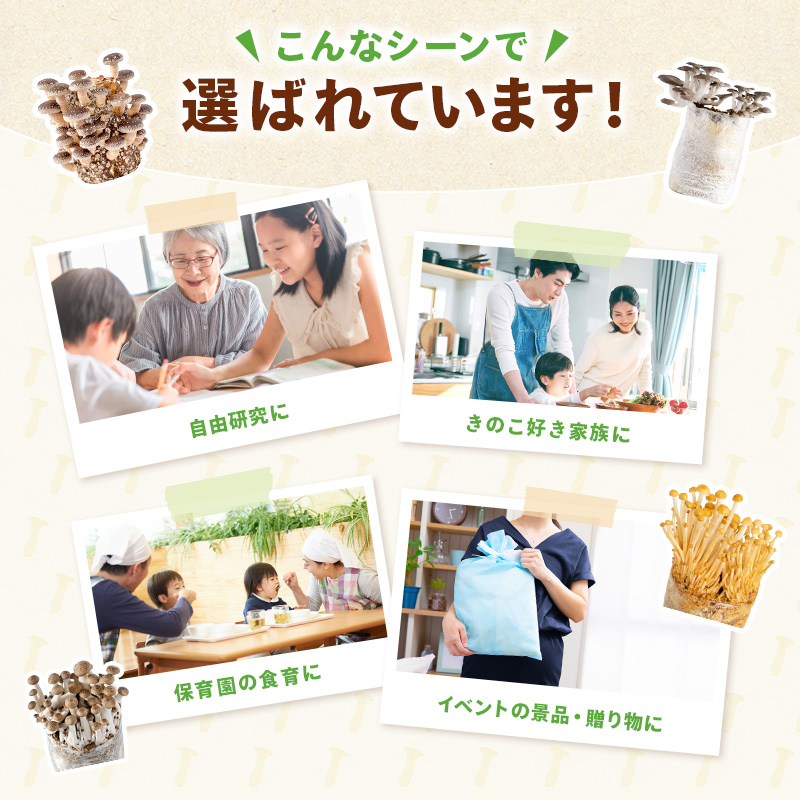 きのこ栽培キット < お好み3個 選べて...の詳細画像1