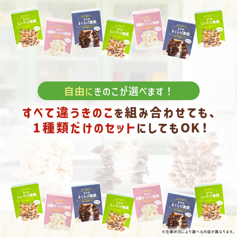 きのこ栽培キット < お好み3個 選べて...の詳細画像2