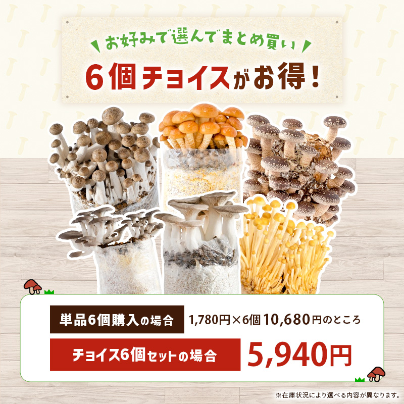 森のきのこ倶楽部 【2026年10月販売開始】きのこ栽培ブロック（ 付属品