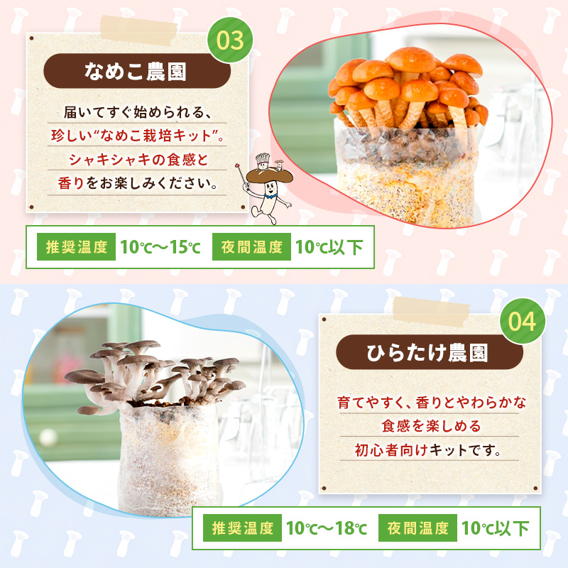 【ブッロクのみ】きのこ栽培ブロック( 付属品なし )選べる6個チョイス しいたけ菌床 きくらげ菌床 関連画像5