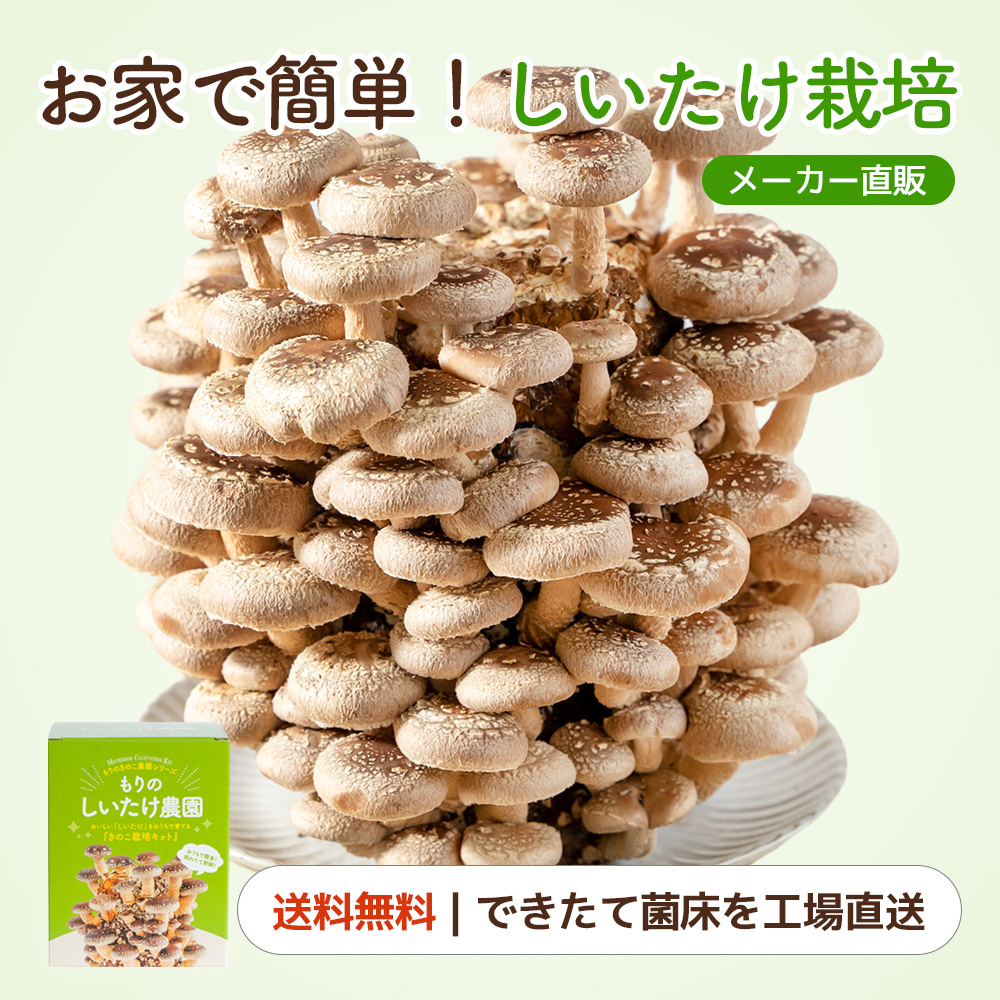 森のきのこ倶楽部 きのこ栽培用原木 サクラ原木 原木栽培 原木ナメコ