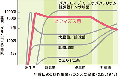ビフィズス菌グラフ