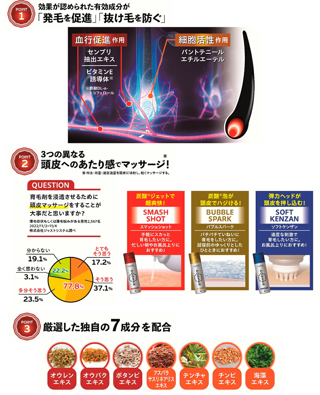 ホグスパ特徴