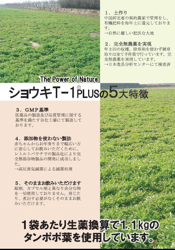 通販 高島屋 あすつく12時まで ポイント5倍 ○医学博士Dr.ショウキのタンポポ茶○ショウキT-1plus 100ML×30袋入 健康食品 ×4箱セット 工場直営店 -pedo.pk 通販 高島屋 あすつく12時まで ポイント5倍 ○医学博士Dr.ショウキのタンポポ茶○ショウキT-1plus 100ML×30袋入 健康食品 ×4箱セット 工場直営店 -pedo.pk