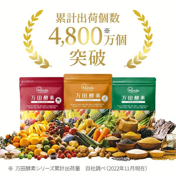 万田酵素 GINGER ３１包入x 3袋セット 万田酵素 GINGER 31包入x 3袋セット 万田酵素 GINGER 31包入