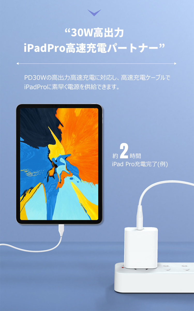 即納！最大半額！ 充電器 タイプc type c PD30W 高速充電アダプター USB-C スマホ充電器 Type C 充電 USB 超薄型  100-240V 海外対応 www.erniesbookstore.com