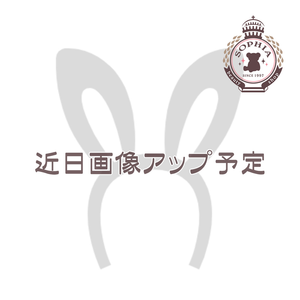 チップ＆デール カチューシャ SUISUI SUMMER 2024 ディズニー グッズ お土産(東京ディズニーリゾート限定)｜duffy-0080