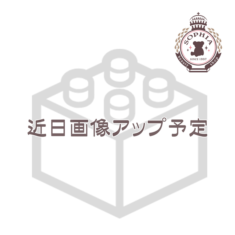 ディズニービークルコレクション ディズニーリゾートクルーザー トミカ SUISUI SUMMER 2024 ディズニー グッズ お土産(東京ディズニーリゾート限定)