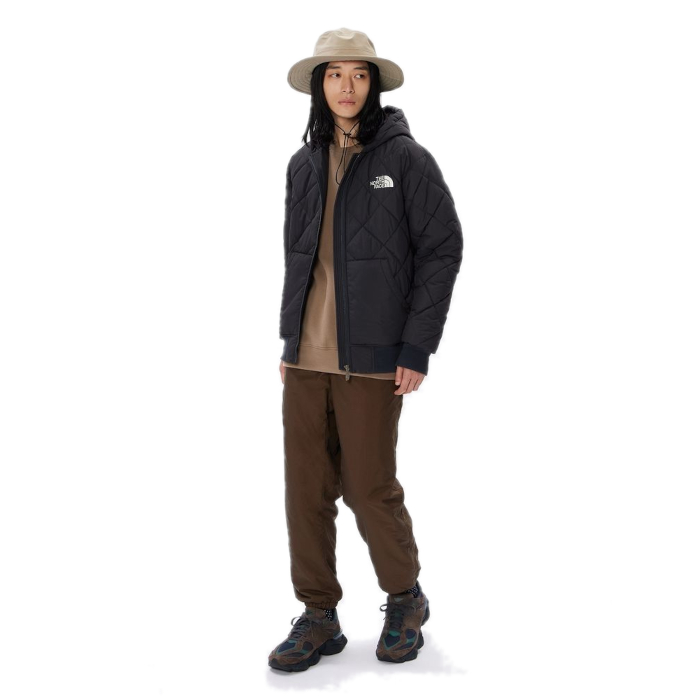 THE NORTH FACE ノースフェイス アウター ジャケット メンズ