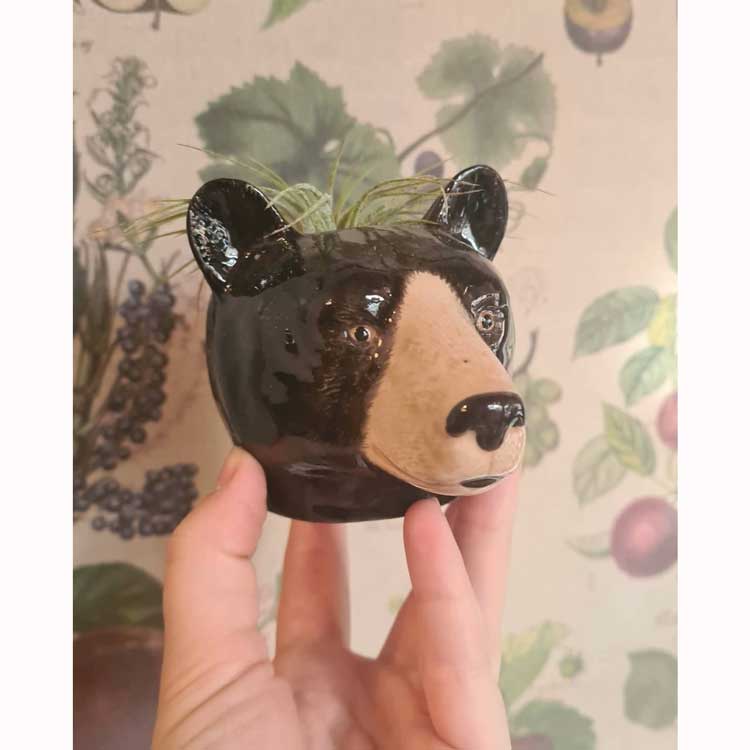 エッグスタンド エッグカップ ポット 卵 熊 クマ くま Black Bear Face