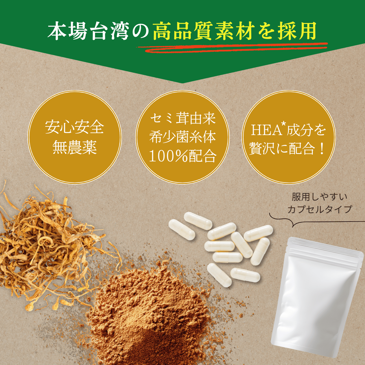 冬虫夏草菌糸体 冬虫夏草 サプリメント 健康食品 セミタケ 60粒入り