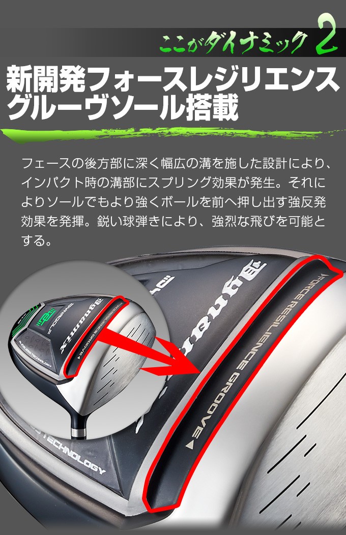 DYNAGOLF（ダイナゴルフ） ゴルフ パーツ ヘッド 単体 ヘッドのみ