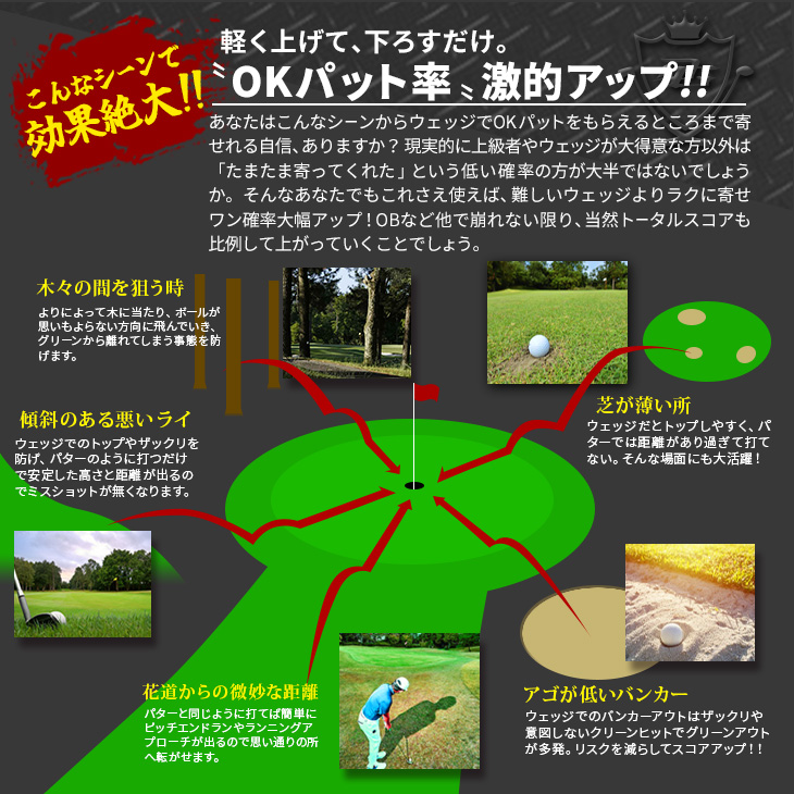 100切りセット★ ダイナゴルフ ダイナミクス レディス チッパー & パター dyna-golf_dx-l-cp