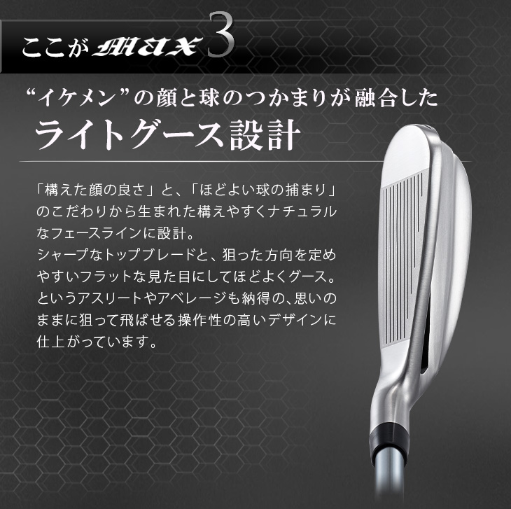 ワークスゴルフ ゴルフ クラブ アイアンセット 6本 5I 6I 7I 8I