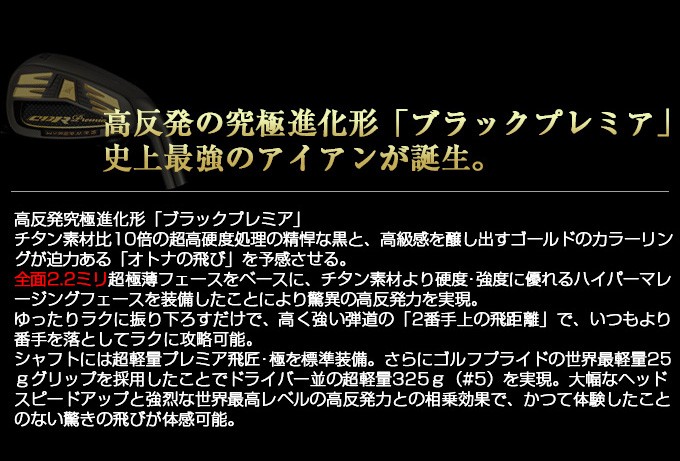 ゴルフクラブ メンズ アイアンセット ワークスゴルフ 6本セット 5I 6I