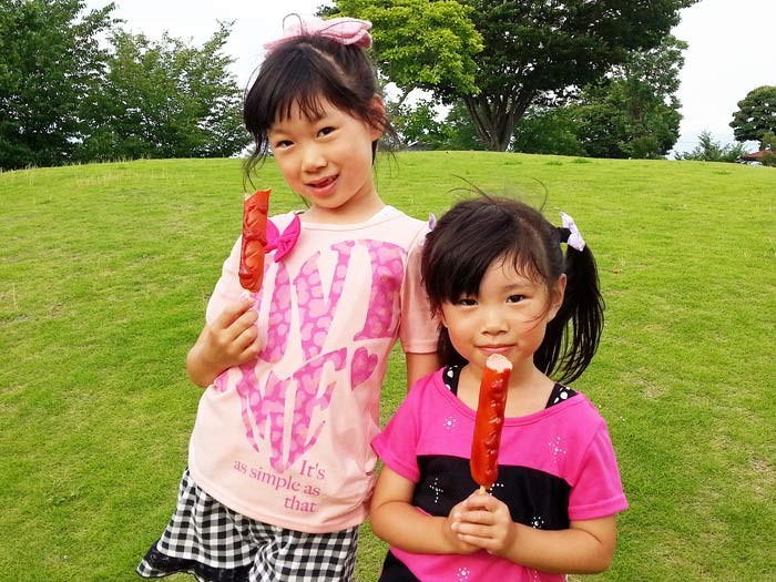 訳あり 激安 肉 フランクフルト 豚肉 BBQ バーベキュー 焼肉 ソーセージ わけあり 訳アリ 業務用 不揃い