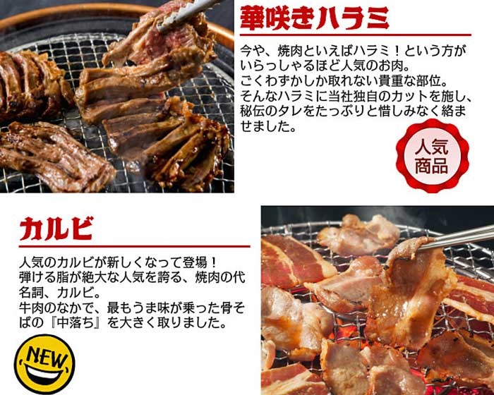 セット 焼肉 焼き肉 バーベキュ- 訳 ワケ わけ 訳あり,わけあり,訳アリ,焼肉,牛肉,亀山社中,激安,通販,販売,不揃い,切り落とし (お試し 食べ比べ)