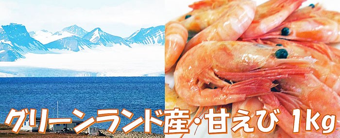 甘えび1kg 1kg 甘エビ あまえび 海老 エビ えび 激安 訳あり わけあり 不揃い 甘えび 業務用 通販