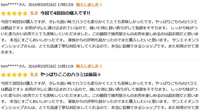 バーベキュー 焼肉 業務用 牛肉 BBQ （わけあり 訳あり 訳アリ）（切り落とし 端 端っこ はしっこ） ハラミ・さがり