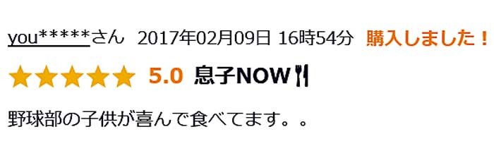 バーベキュー 焼肉 業務用 牛肉 BBQ （わけあり 訳あり 訳アリ）（切り落とし 端 端っこ はしっこ） ハラミ・さがり