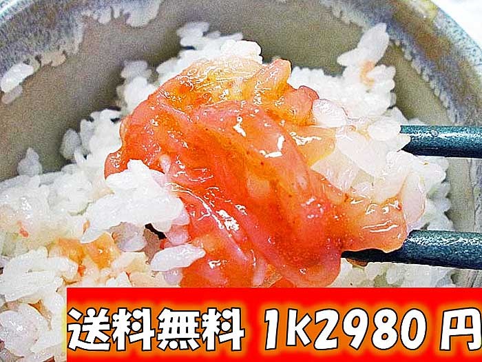 訳 ワケ わけ 訳あり わけあり 訳アリ 明太子 めんたいこバラ バラ子 激安 ワケあり ワケアリ