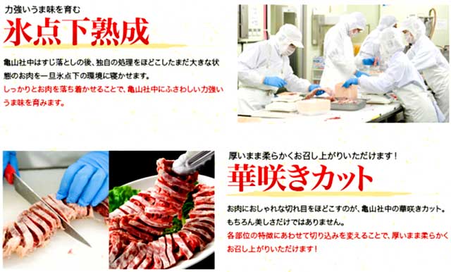 バーベキュー 訳 ワケ わけ 訳あり,わけあり,訳アリ,焼肉,牛肉,亀山社中,激安,通販,販売,不揃い,切り落とし お中元ギフト2014