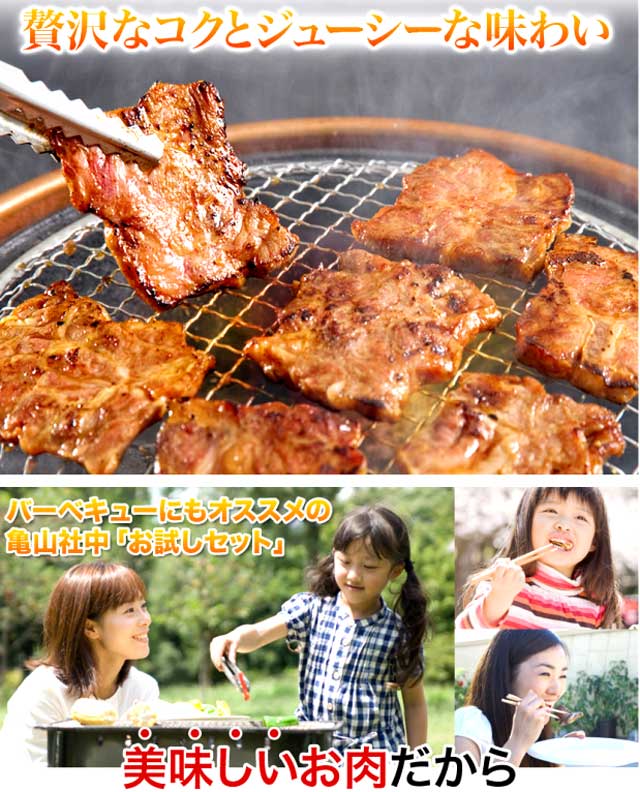 セット 焼肉 焼き肉 バーベキュ- 訳 ワケ わけ 訳あり,わけあり,訳アリ,焼肉,牛肉,亀山社中,激安,通販,販売,不揃い,切り落とし (お試し 食べ比べ)