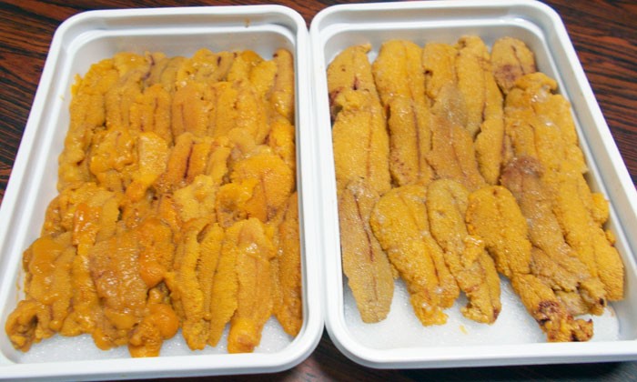 訳 ワケ わけ 訳あり わけあり 訳アリ うに ウニ 雲丹 激安 通販 販売