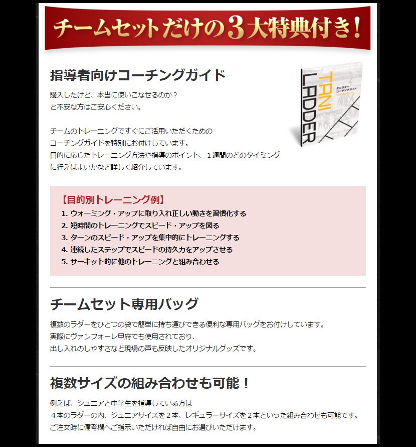 冬バーゲン 特別送料無料 ラダー トレーニング 送料無料 チーム用ラダー2本セット ベーシック タニラダー トレーニングラダー サッカー エクササイズグッズ