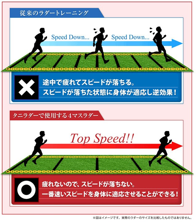 Taniladder イースリーショップ スポーツ その他トレーニング用品 ベーシック シングルセット ラダートレーニング サッカー 解説dvd付き 送料無料 タニラダー