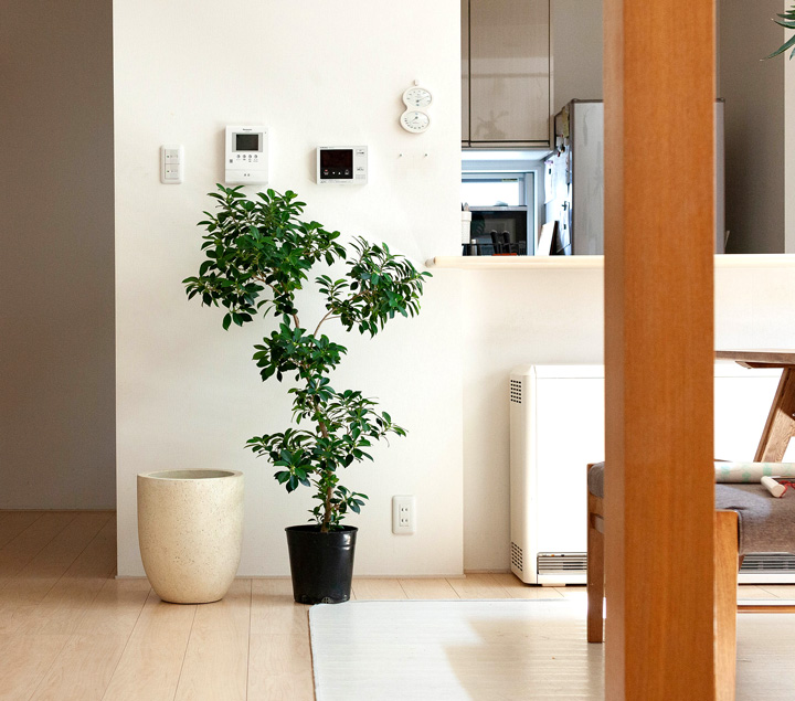 鉢 植木鉢 おしゃれ 大型 鉢カバー 室内 「使いやすい形」のファイバー