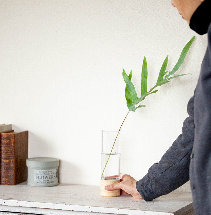 ブルースターの切り花