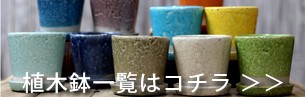 植木鉢バナー