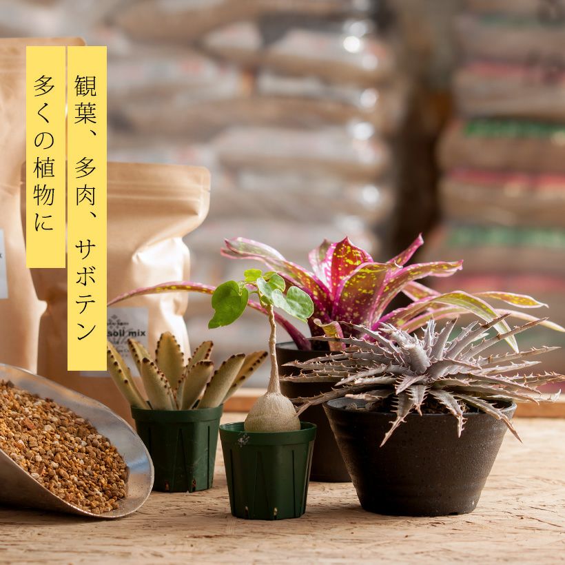 観葉植物 土 観葉植物の土 栽培家・杉山拓巳氏「プレミアム用土」3