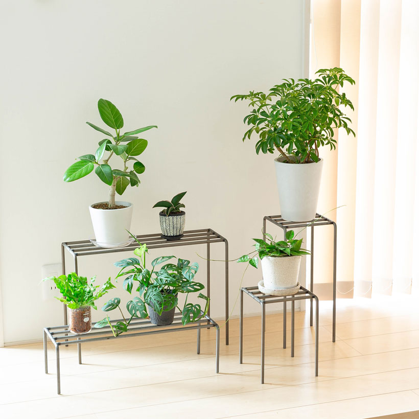 植物を立体的に飾る！手軽で便利、WOODスタンド : e-花屋さん - 通販