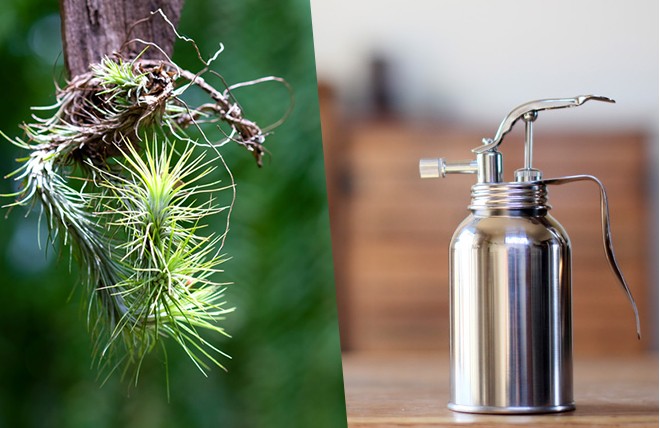 E 花屋さん 育てる道具 Yahoo ショッピング