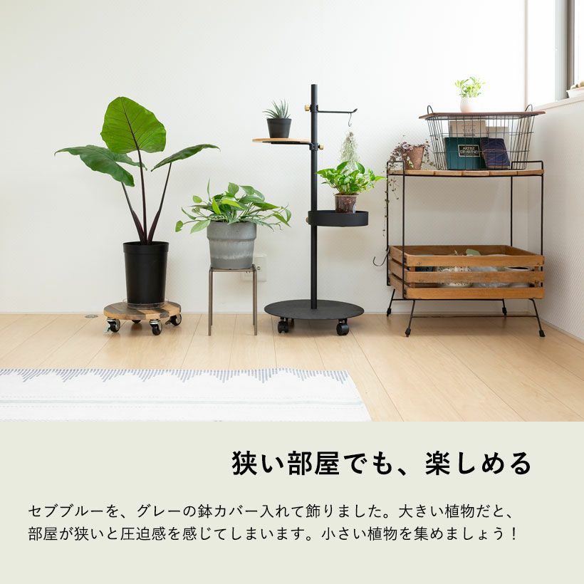 ハンドメイド　ブルー鳥　吊りプランター　ザルツブルク 楽天市場】【直輸入・正規品】英国（イギリス）製 テラコッタ製