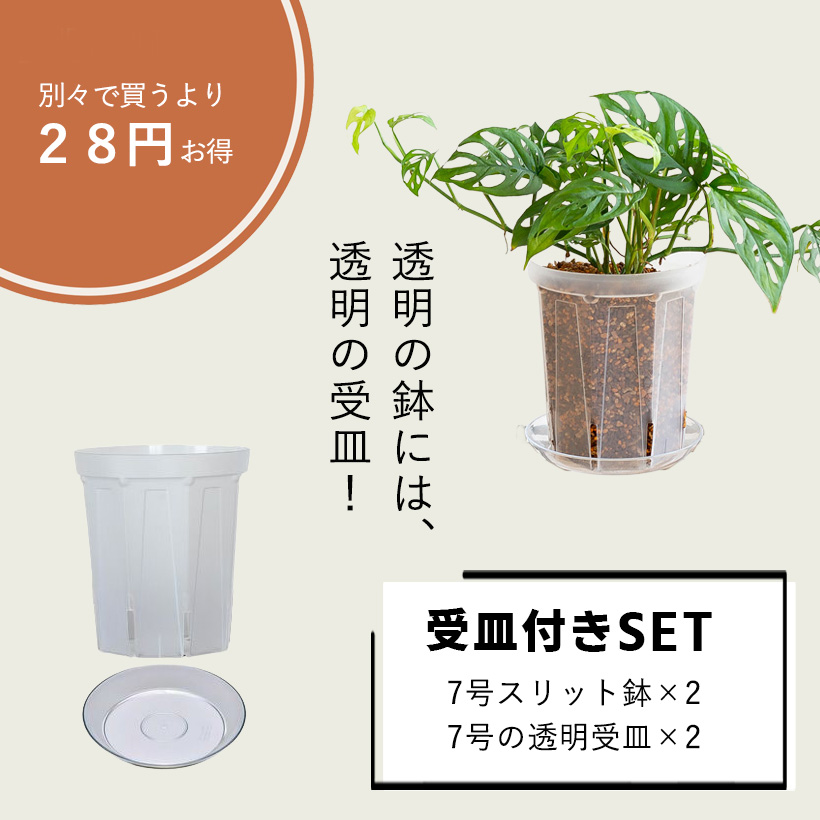 ネガミエル 透明スリット鉢 7号サイズ×2鉢SET 根が見える 浅岡園芸
