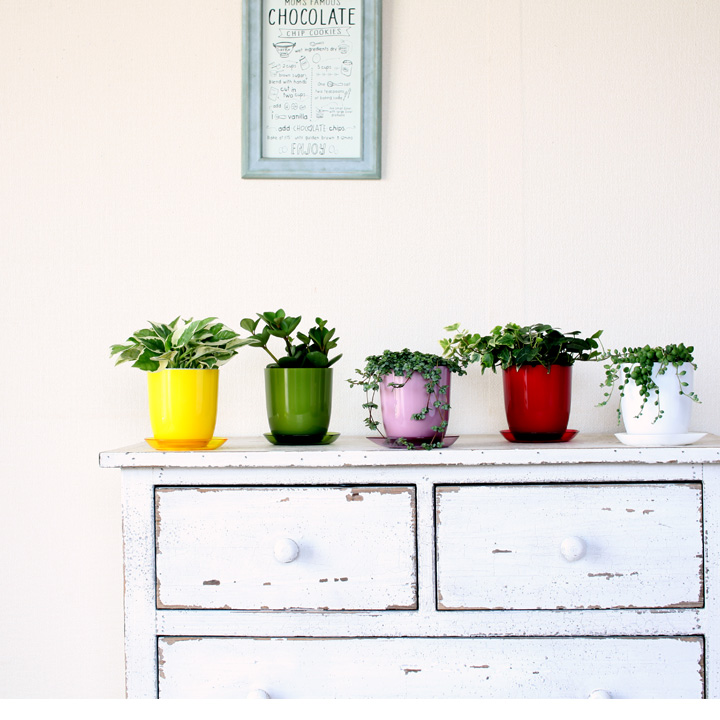 鉢 プラスチック 鉢カバー おしゃれ カラフル 植え替えガラスのような